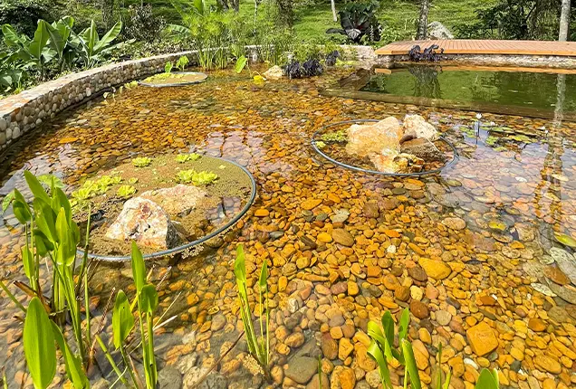 Instalación de Biopiscinas - Piscinas naturales